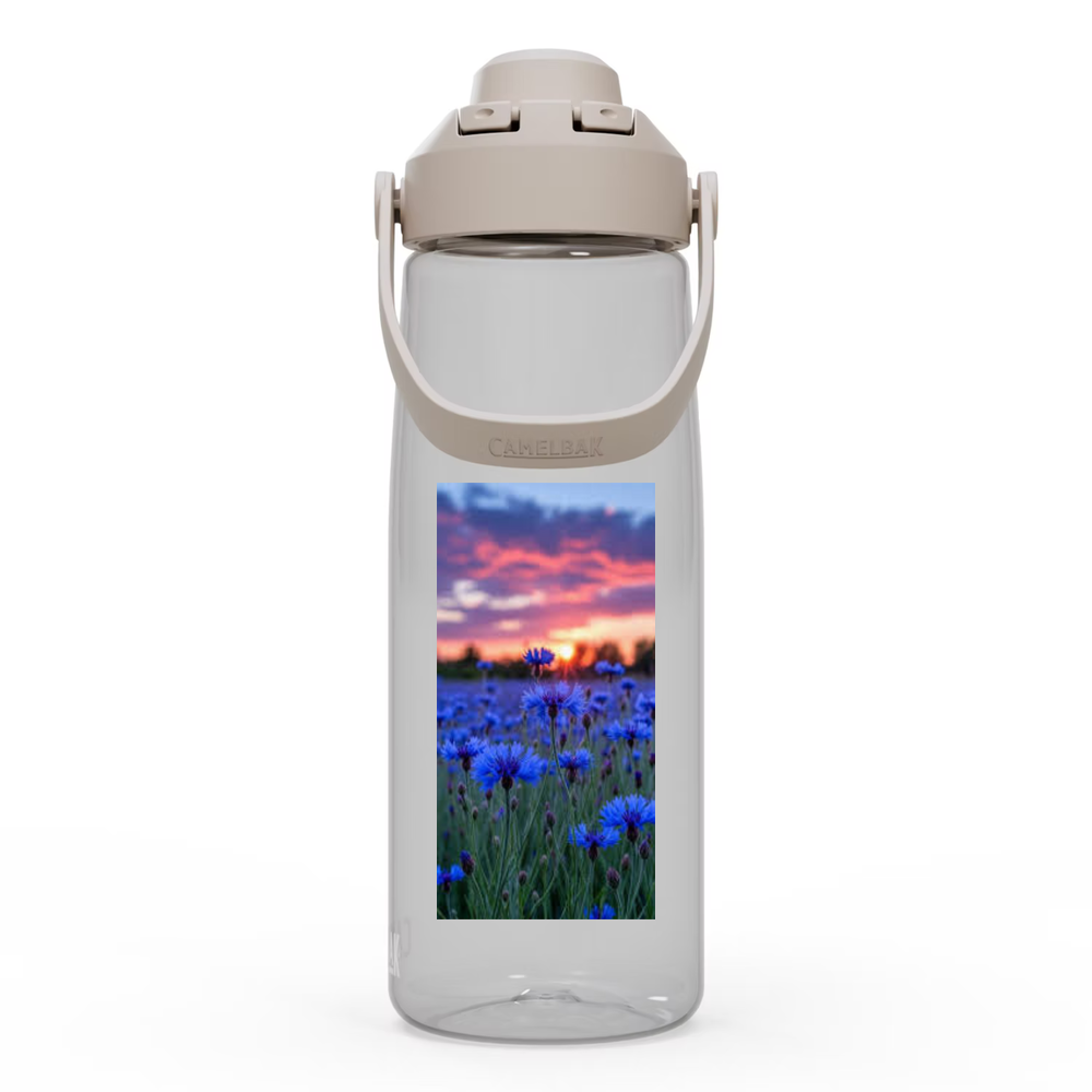 Spoke CamelBak Bottle variable